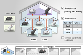 Mouse Genetics Gizmo